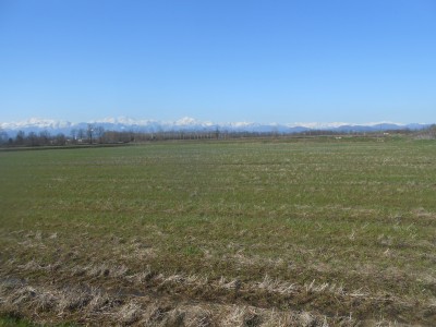DSCN1482.JPG