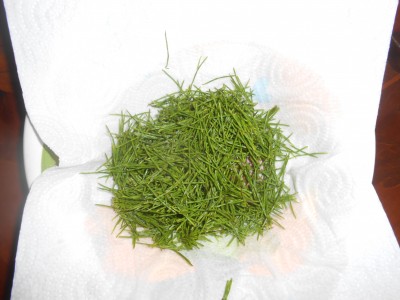 DSCN1528.JPG