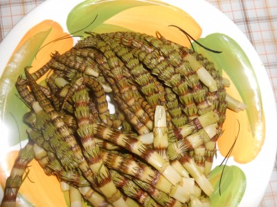 DSCN1533.JPG