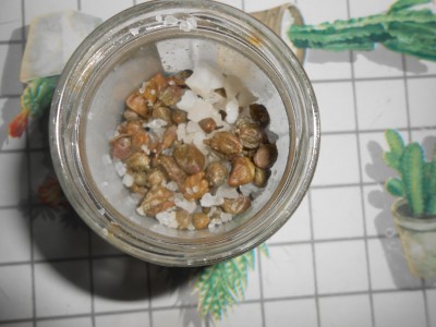 DSCN1538.JPG