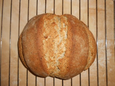 DSCN1535.JPG