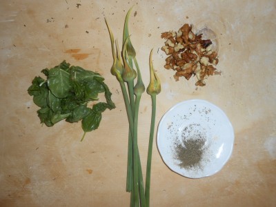 DSCN1575.JPG