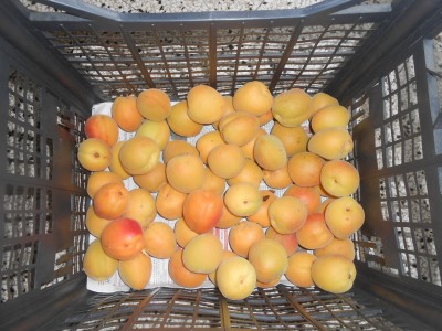DSCN1621.JPG