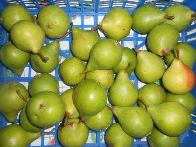 DSCN1630.JPG