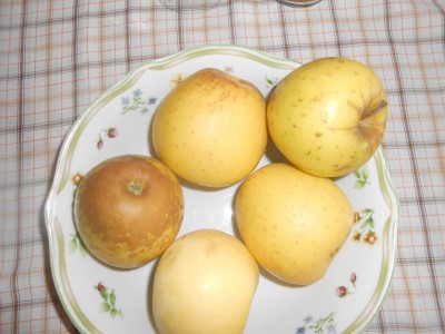 DSCN1794.JPG