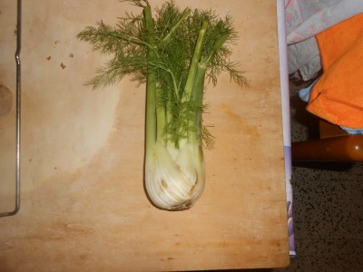 DSCN1820.JPG