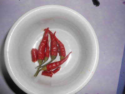 DSCN1805.JPG