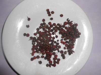 DSCN1807.JPG
