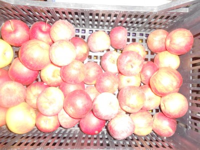 DSCN1880.JPG
