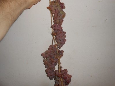 DSCN1861.JPG
