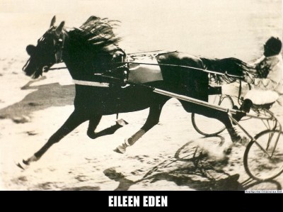 eileen-eden-0007.jpg