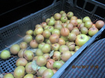IMG_1086.JPG