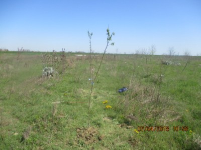 IMG_1759.JPG