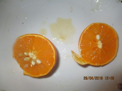 IMG_1833.JPG