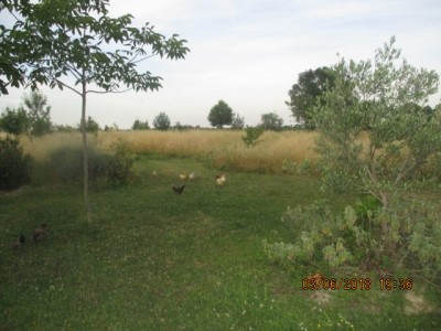 IMG_1835.JPG