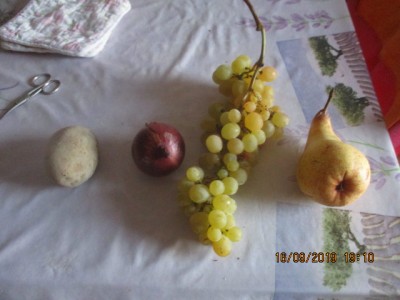 IMG_2783.JPG