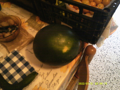 DSCF0012.JPG