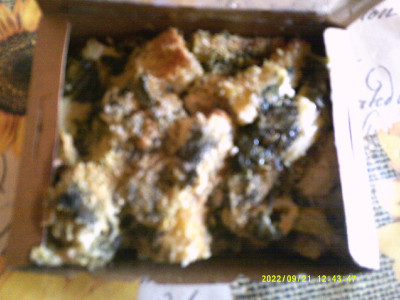DSCF0006.JPG