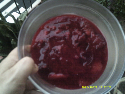 DSCF0003.JPG