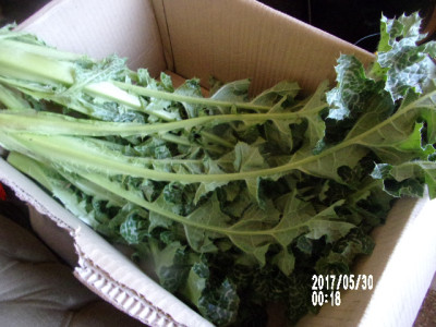 100_1073.JPG