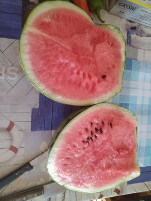 C.jpg