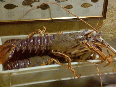 IMG-20131027-00199.jpg