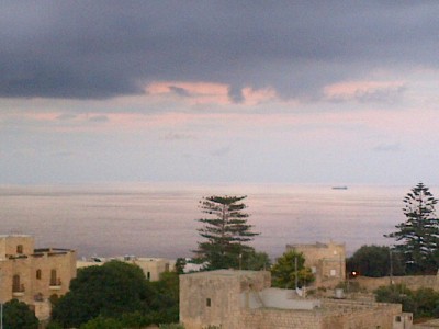 vista_alberi.jpg